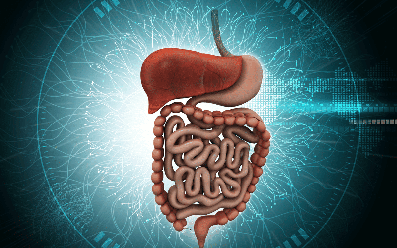 The Hidden Impact Digestive System Involvement in FRDA