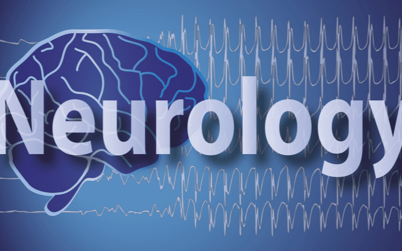 An Echo of the Past Post-HSE Neurological Complications