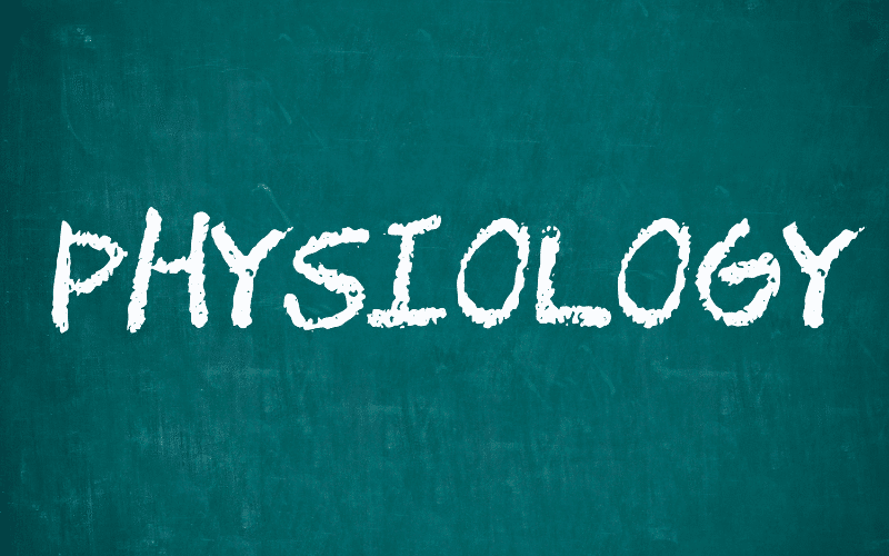 Physiological Changes The Hidden Impact of Sundown Syndrome