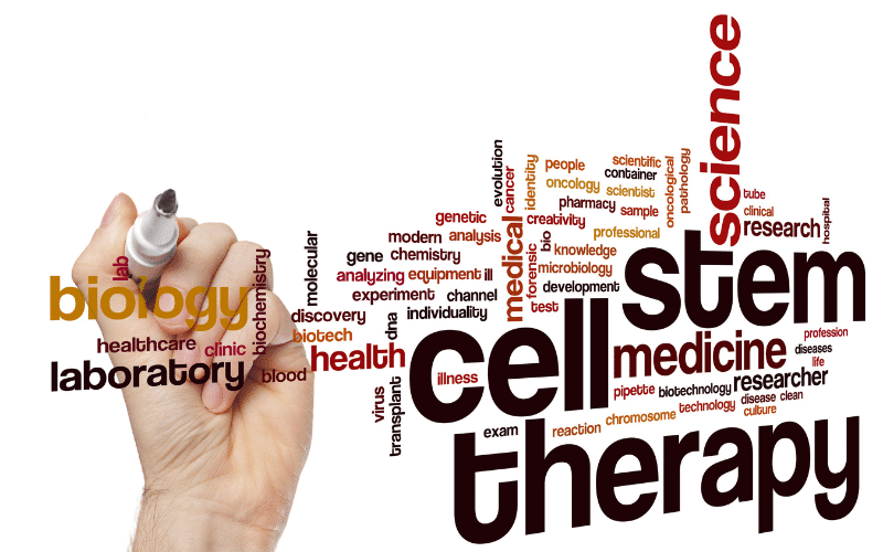 The Role of Stem Cell Therapy is Being Explored