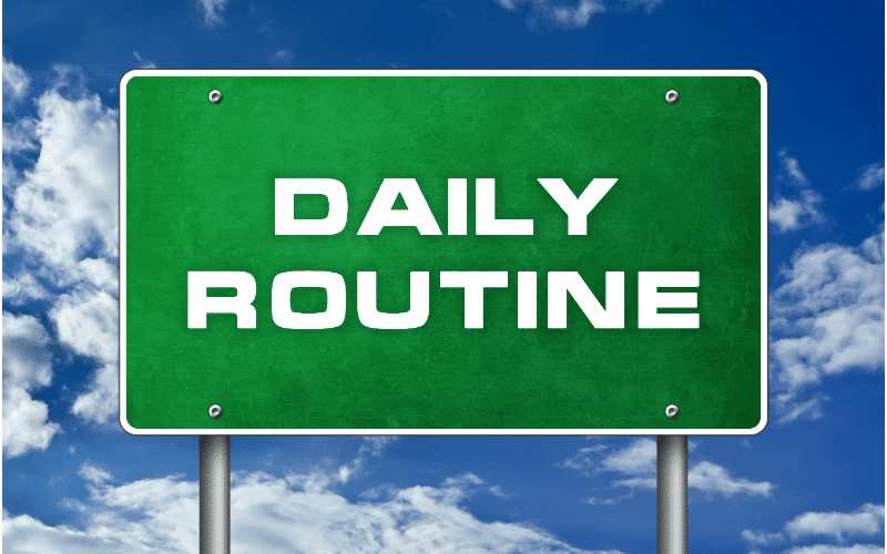 A World of Order Establishing a Daily Routine