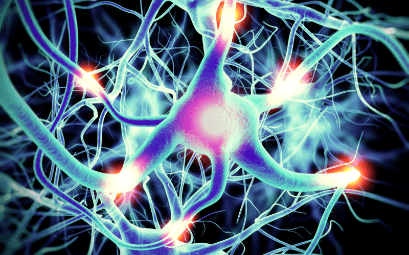 Degeneration of Nerve Fibers The Primary Pathological Process