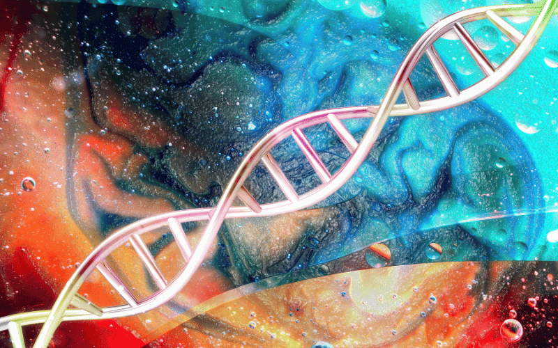 The Genetics of HD A Closer Look at the Inheritance Pattern