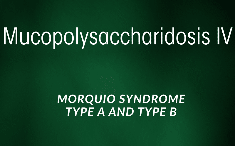 Morquio's Palette The Spectrum of Mucopolysaccharidosis IV