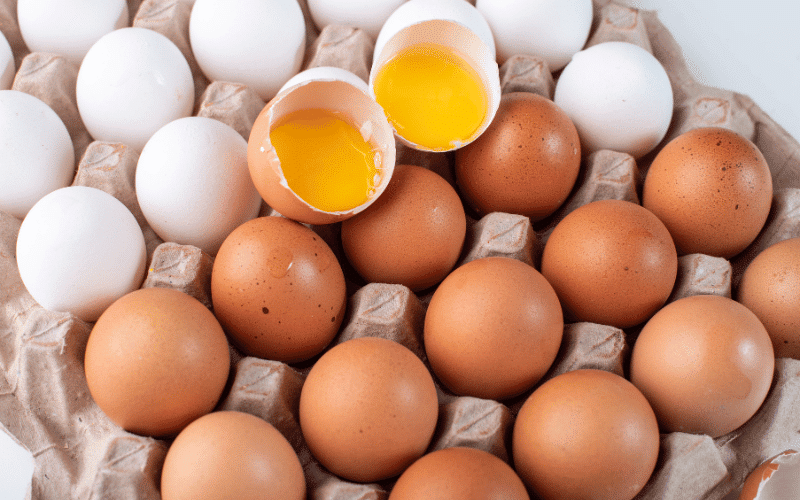 Eggs - Nature's Nutrient-packed Bundle