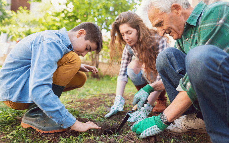 Encourage Social Interaction Fostering Connection