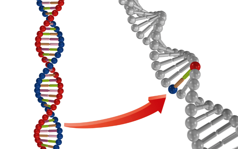 Genetic Modifiers Hidden Puppeteers