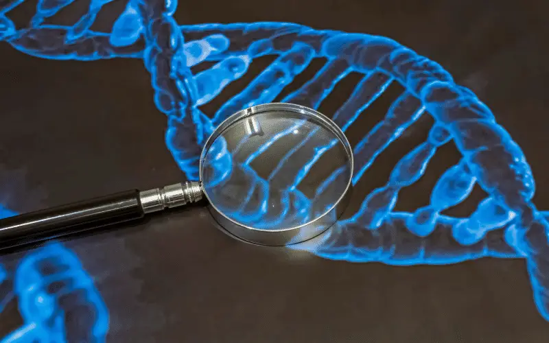 Genetic Mutation The Driving Force of Huntington's Disease