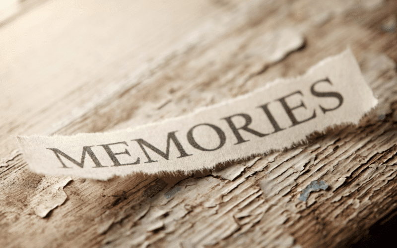 Memory Impairments - The Broad Overview