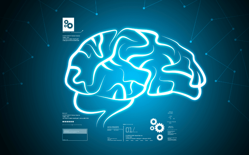 The Impact of Diabetes on Brain Structure