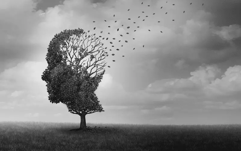 Understanding Dementia and Delusions Unveiling 15 Essential Facts