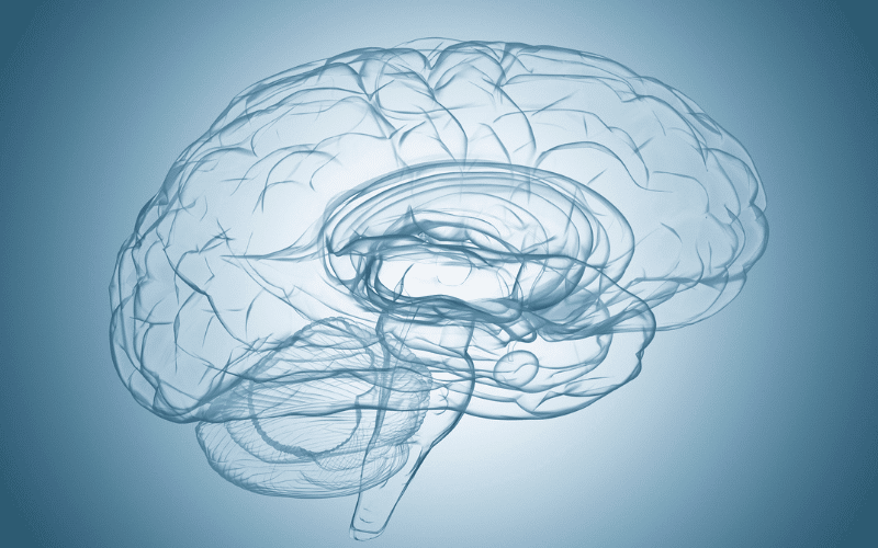 Understanding Posterior Cortical Atrophy 15 Essential Facts