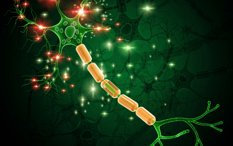 15 Indispensable Facts About Neuromyelitis Optica Spectrum Disorders