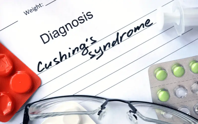 Hormones, Health, and Women 10 Facts About Cushing's Syndrome