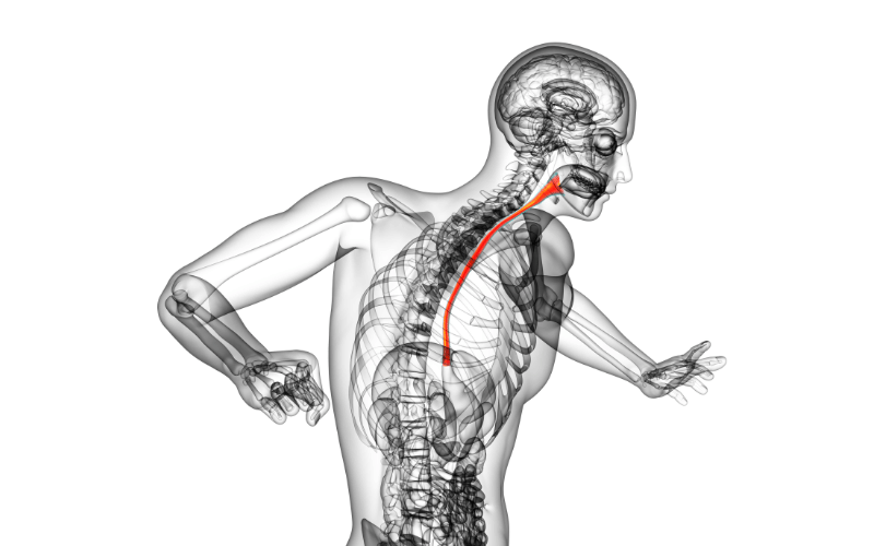 Recognize Esophagitis 10 Unmissable Symptoms