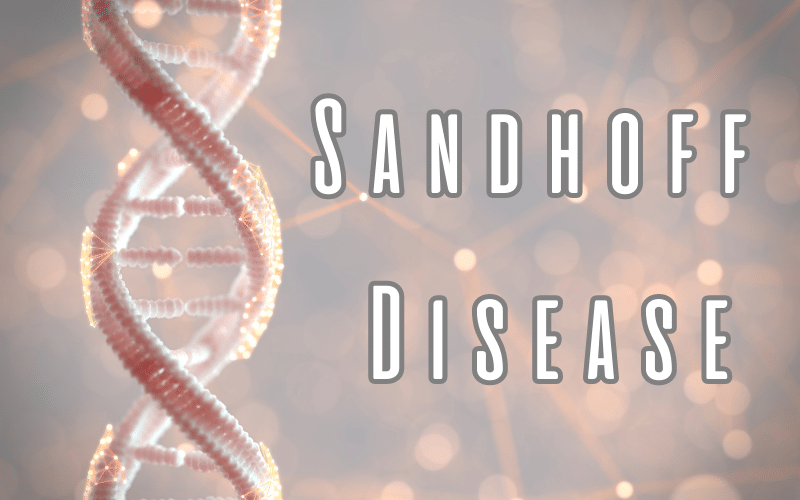 Shining a Light on Sandhoff Disease Investigating Its 10 Key Symptoms