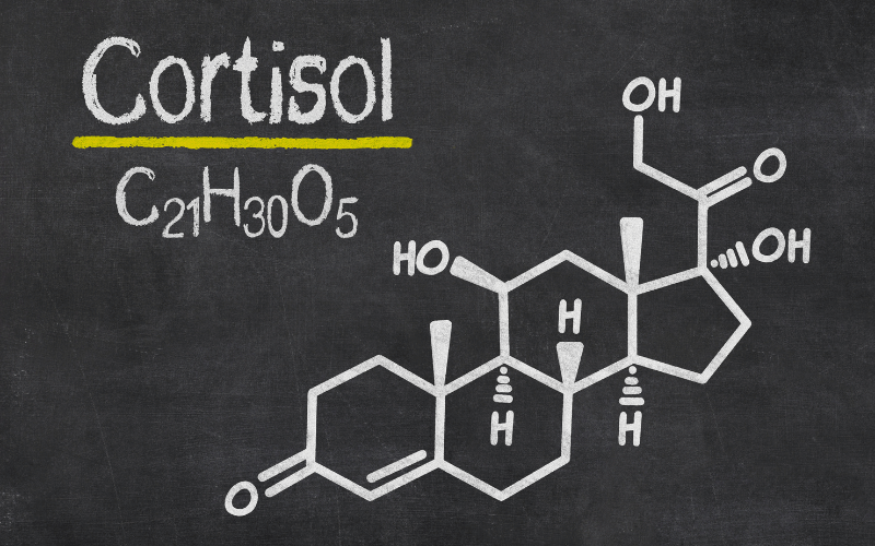 Excess Cortisol Production The Overachieving Adrenal Glands