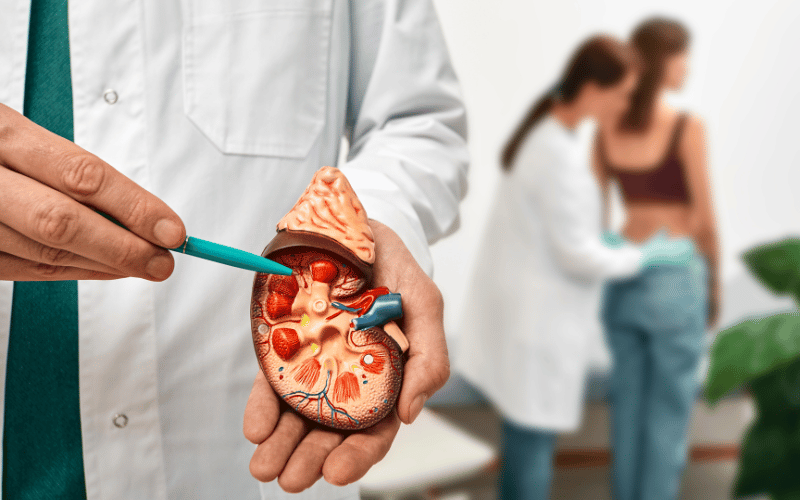 Kidney Issues PAN's Silent Organ Strain