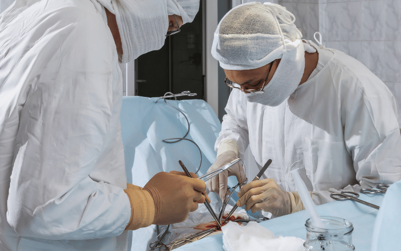 Surgical Solutions Navigating the World of Hernia Repairs