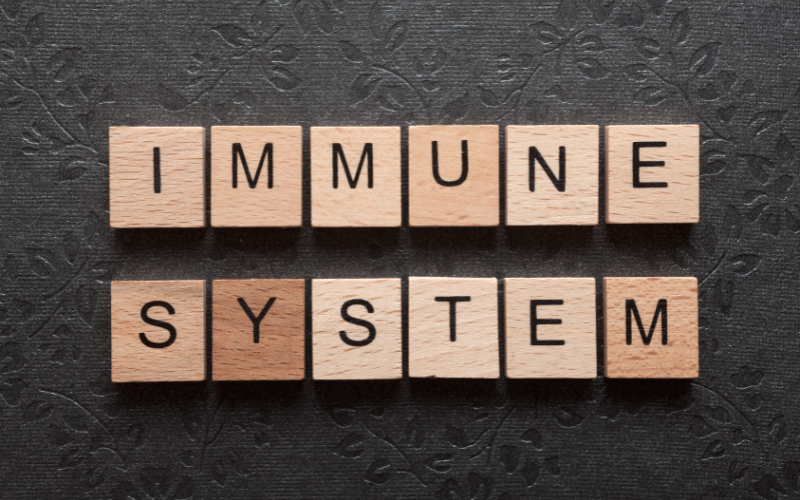 Interplay with the Immune System FL's Tug of War