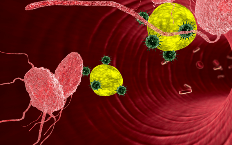 15 Essential Facts About Monoclonal Gammopathy What You Need to Know