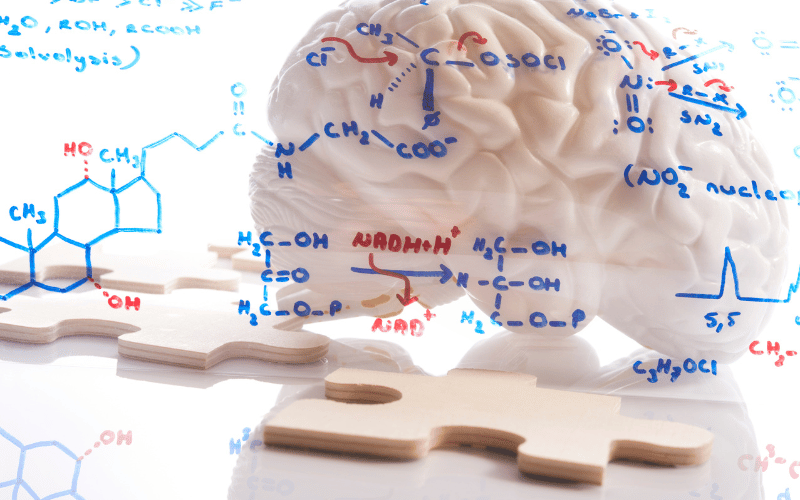 The Brain Chemistry Connection Neurobiological Factors in Munchausen Syndrome