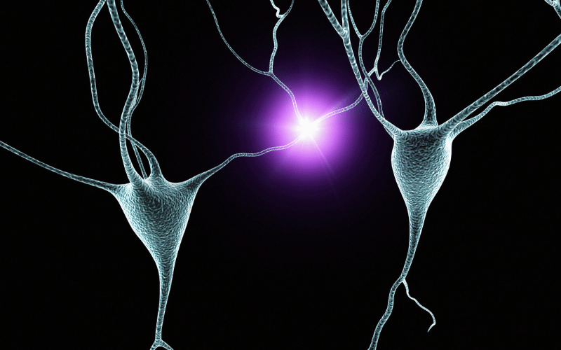 Nervous Connections Neural Implications of Sjögren’s on Lifespan