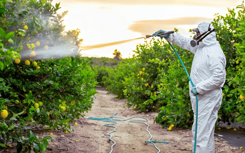 Environmental Culprits The Hidden Dangers Lurking Around Us