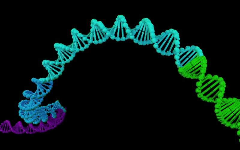 Genetic Predisposition The DNA Links to Hepatocellular Carcinoma