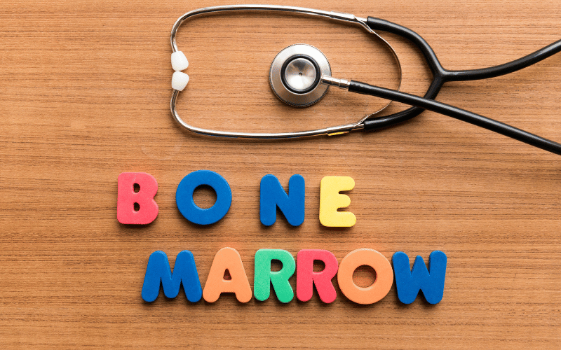 The Crucial Role of Bone Marrow in ALL