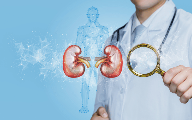 The Silent Damage Kidneys and Life Expectancy in Sjögren’s