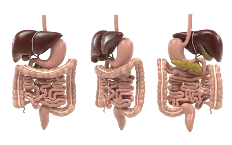 Gastrointestinal Grumbles Digestive Disruptions in the World of Sjogren's