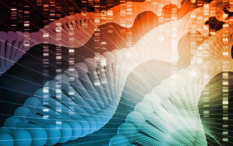 The Genetic Mosaic DLBCL's Intricate Genetic Landscape