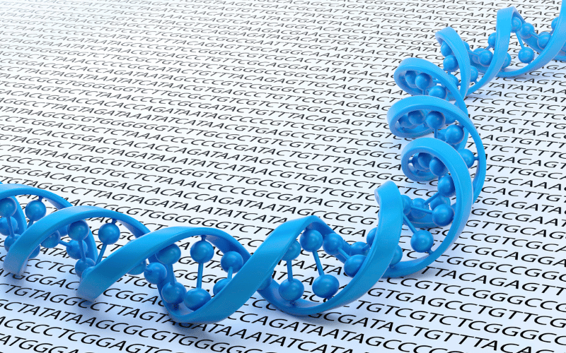 The Genetic Jigsaw CTCL's Molecular Markers and Their Implications