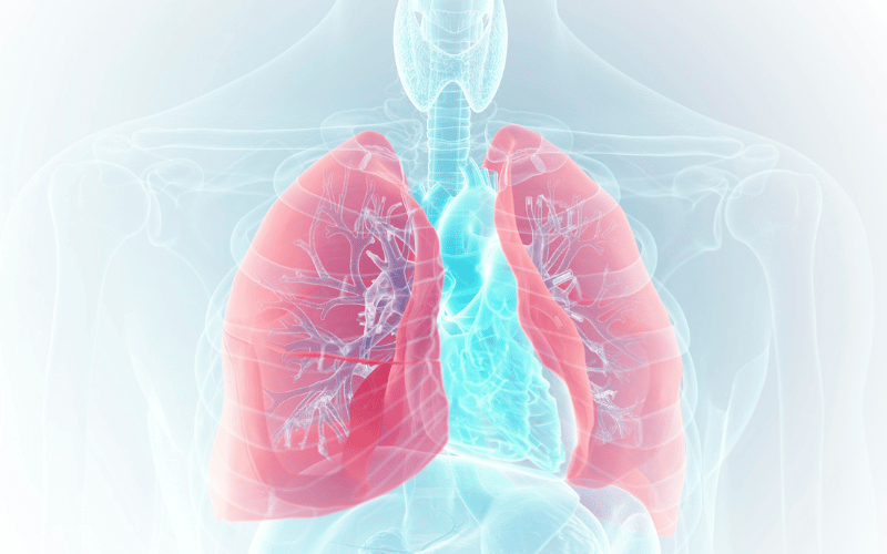 When Breath Becomes a Struggle Respiratory Issues in Sandhoff Disease