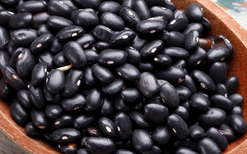 Black Beans The Musical Fruit with a Purpose