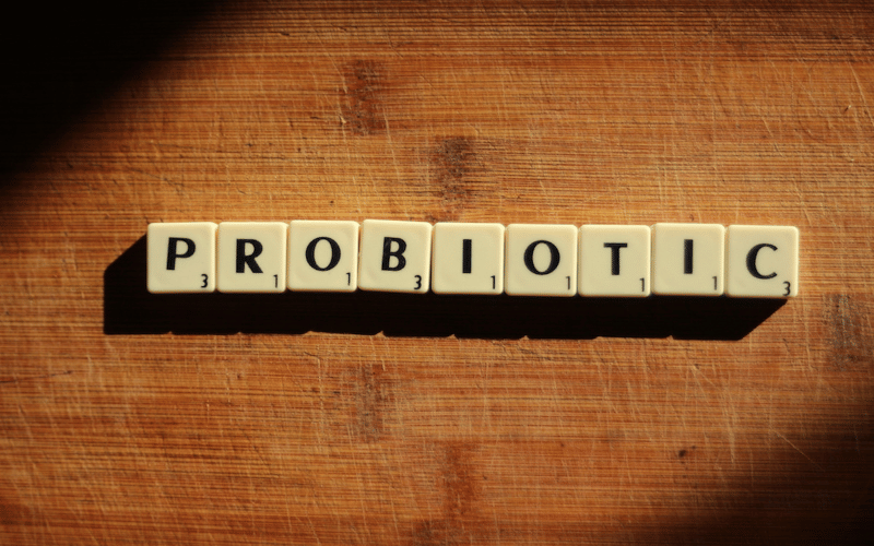 Probiotic Boost The Balancing Act for Your Gut Flora