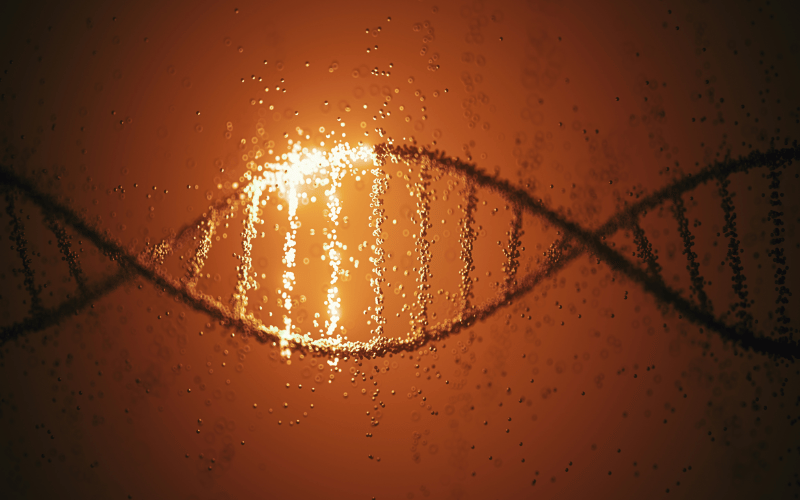 The Genetics Puzzle Unraveling Inheritance Patterns in CMT