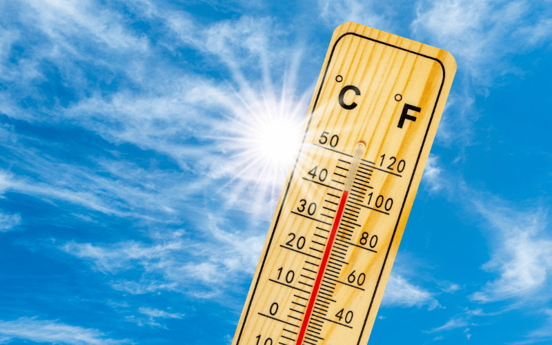 Heat Sensitivity The Thermal Dilemma of Multiple Sclerosis