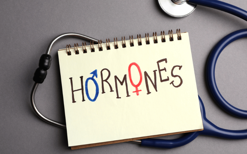 Hormonal Changes The Tides Within Us