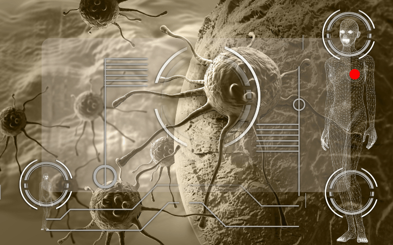 The Mystery of the B Cell Delving into HL Origins