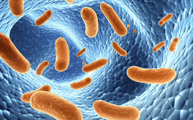 Chronic Infections The Persistent Nudge Towards Multiple Myeloma