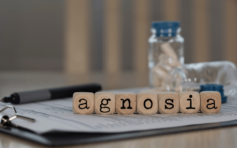 A Closer Look at Agnosia