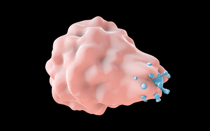 Allergic Conditions and Their Link to EoE