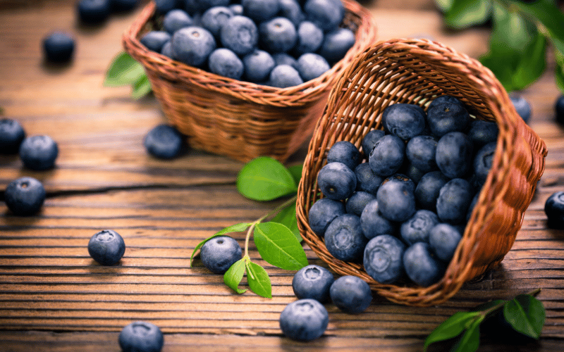 Blueberries - Antioxidant-rich Delight