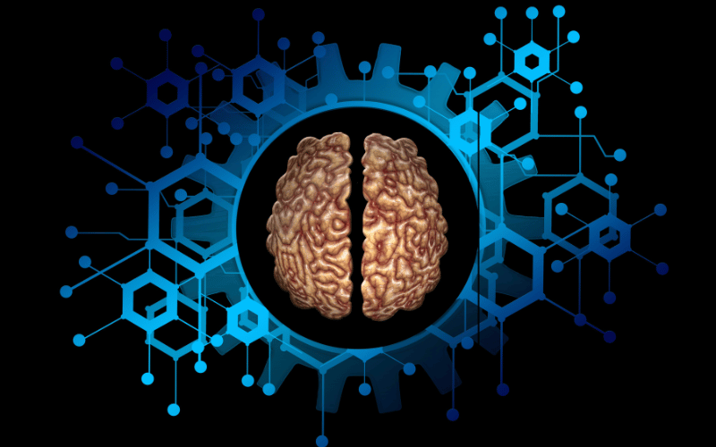 Brain Abnormalities