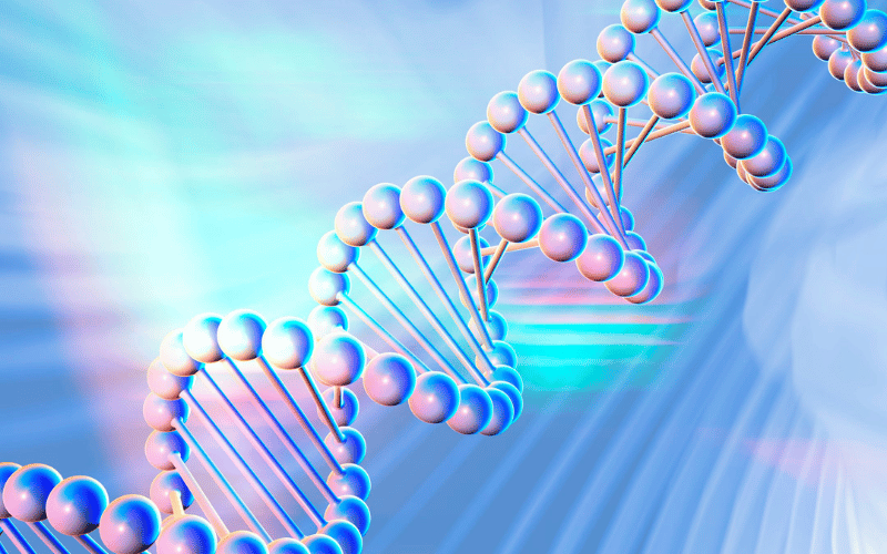 Elevated Double-Stranded DNA (dsDNA) Antibodies