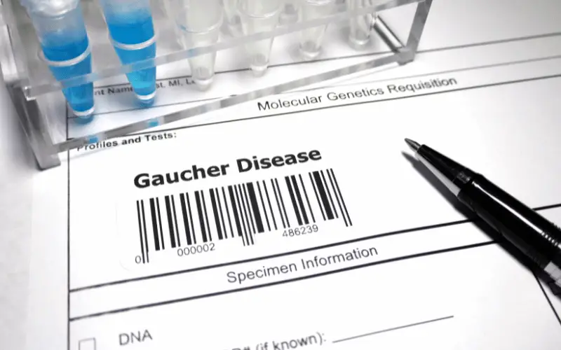 Gaucher Disease in the Spotlight