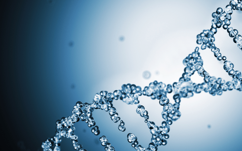 Genetic Factors in DLBCL