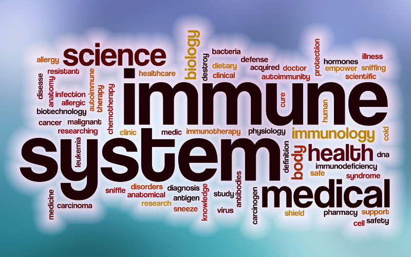 Immune System Dysfunction